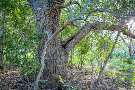 000 County Line Road # 120 Beeville TX 78102