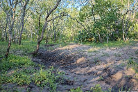 000 County Line Road # 120 Beeville TX 78102