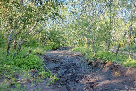 000 County Line Road # 120 Beeville TX 78102