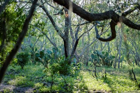 000 County Line Road # 120 Beeville TX 78102
