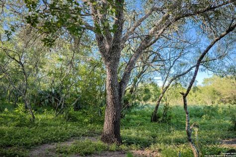 000 County Line Road # 120 Beeville TX 78102