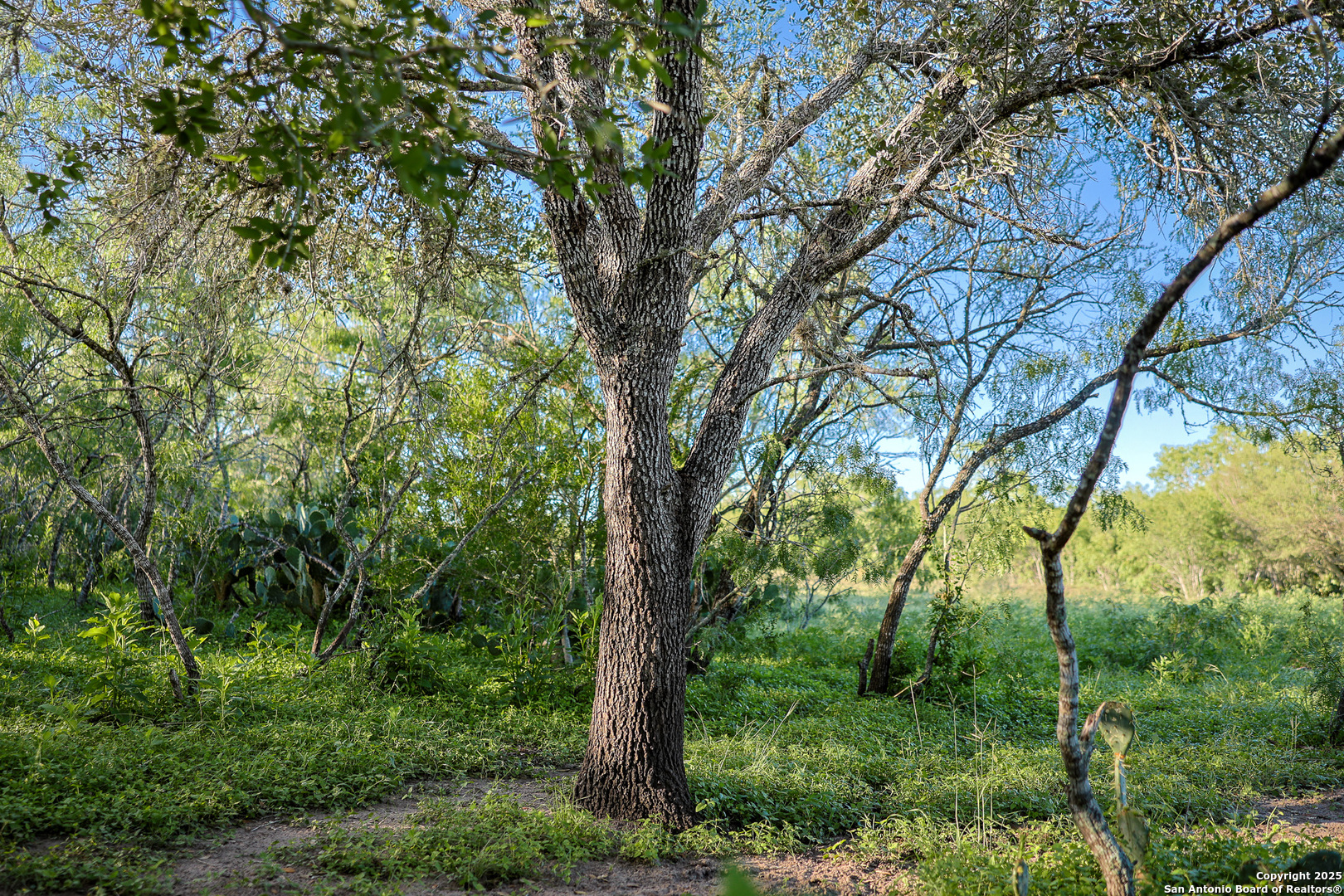 000 County Line Road # 120 Beeville TX 78102