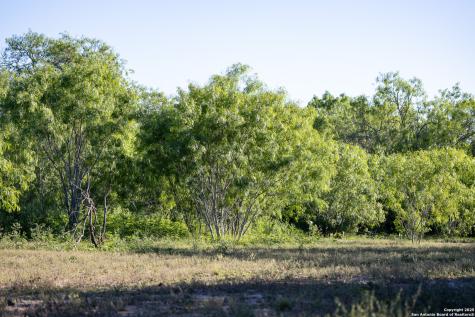 000 County Line Road # 120 Beeville TX 78102