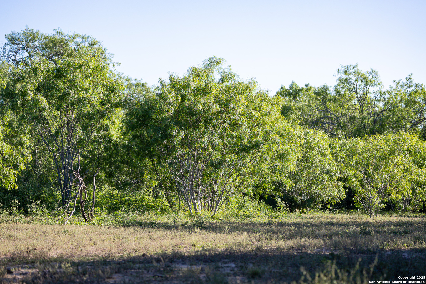 000 County Line Road # 120 Beeville TX 78102