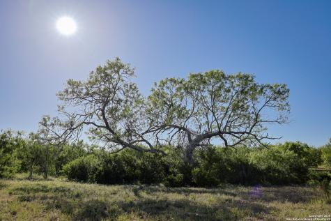 000 County Line Road # 120 Beeville TX 78102