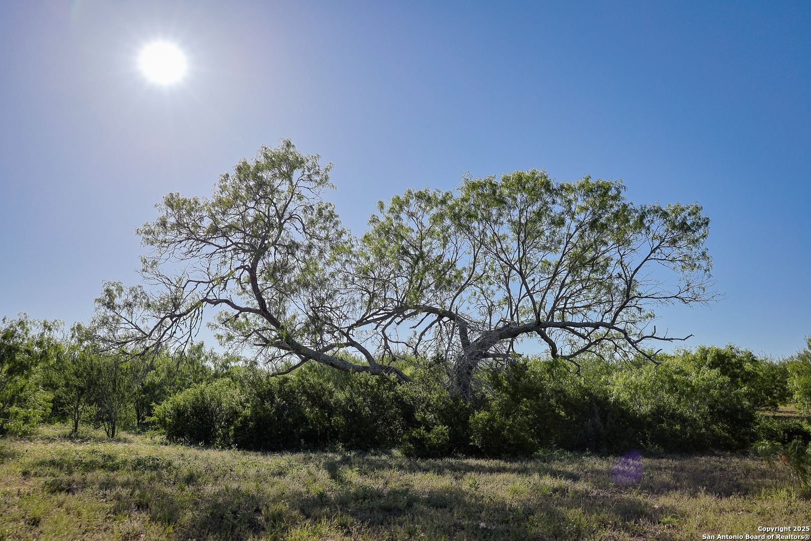 000 County Line Road # 120 Beeville TX 78102