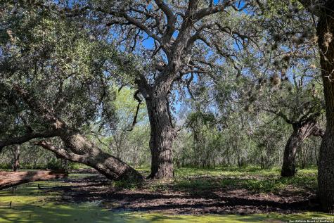 000 County Line Road # 120 Beeville TX 78102