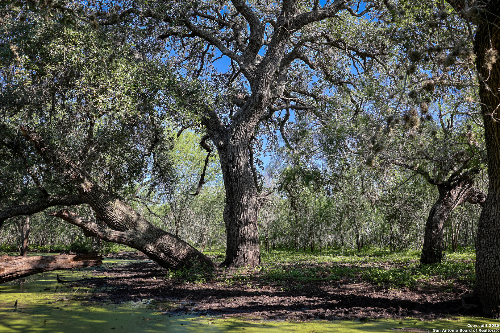 000 County Line Road # 120 Beeville TX 78102