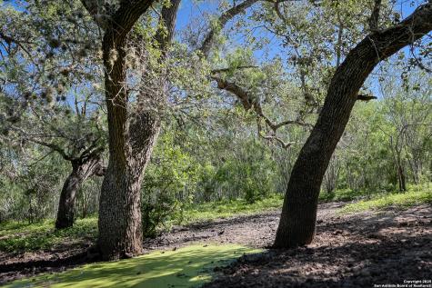 000 County Line Road # 120 Beeville TX 78102