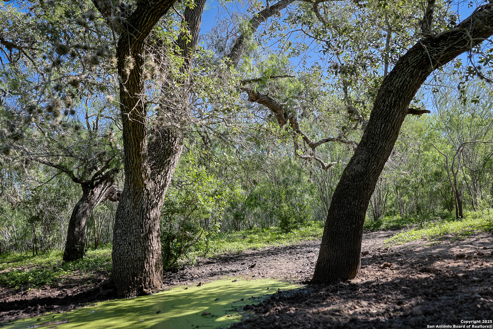 000 County Line Road # 120 Beeville TX 78102
