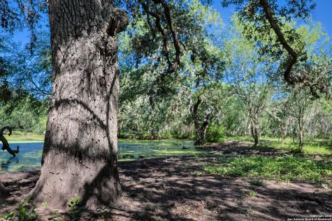 000 County Line Road # 120 Beeville TX 78102