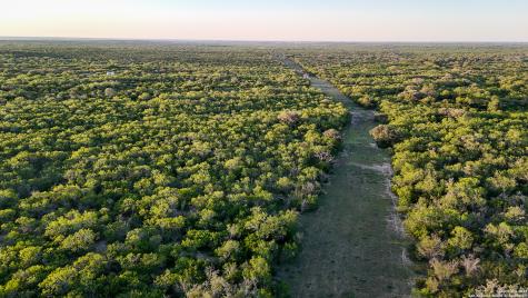 000 County Line Road # 120 Beeville TX 78102