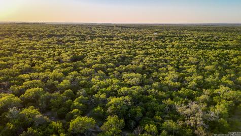 000 County Line Road # 120 Beeville TX 78102