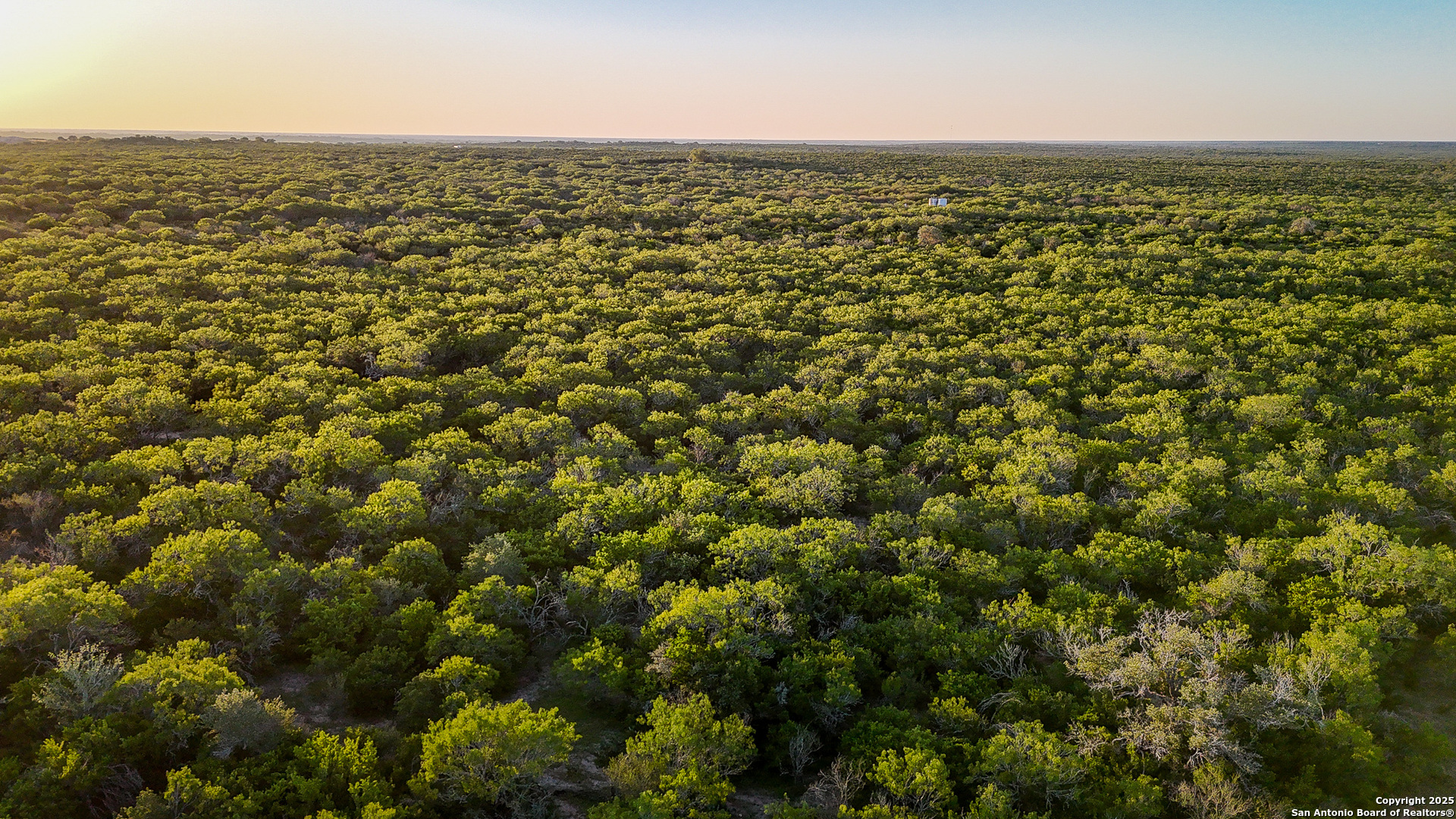 000 County Line Road # 120 Beeville TX 78102