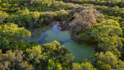 000 County Line Road # 120 Beeville TX 78102
