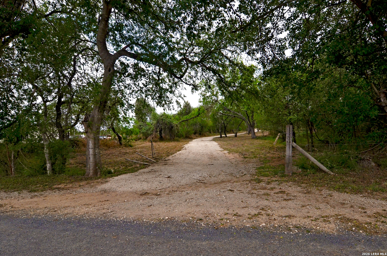 101 Alfredo Floresville TX 78114