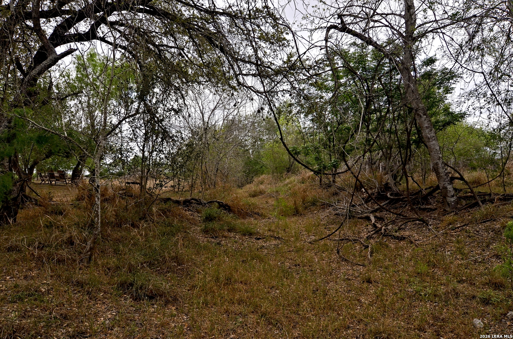 101 Alfredo Floresville TX 78114