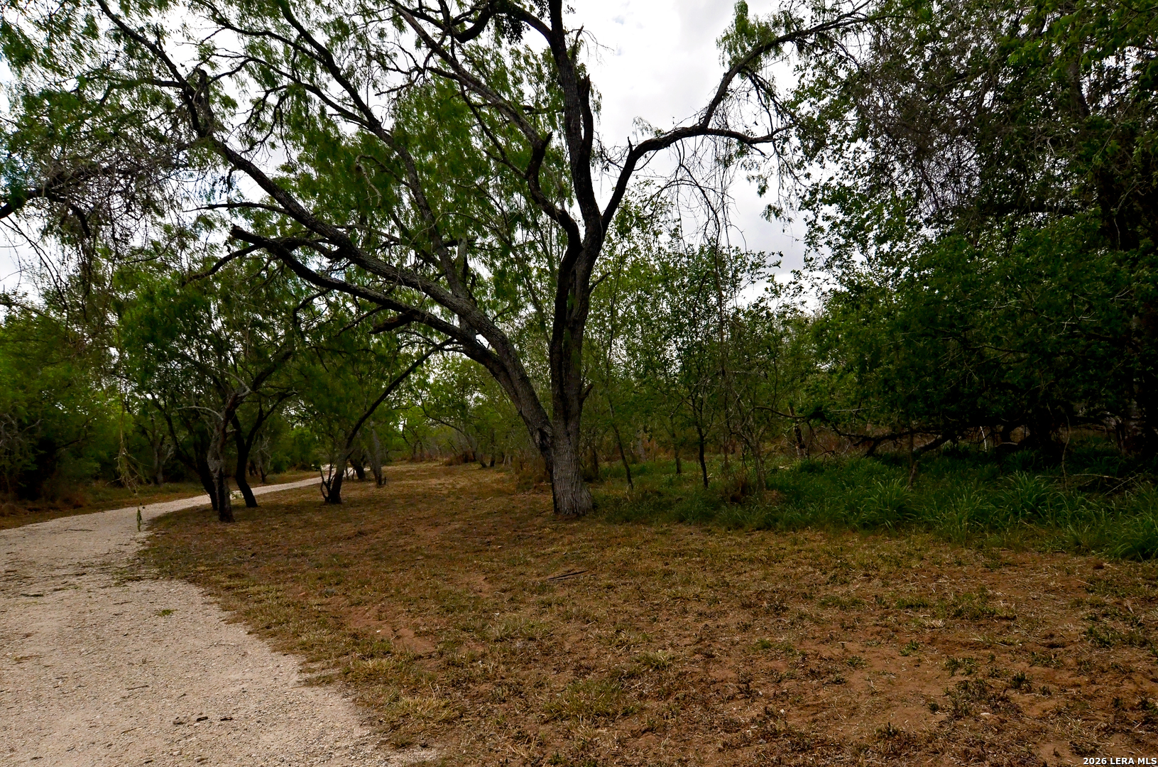 101 Alfredo Floresville TX 78114