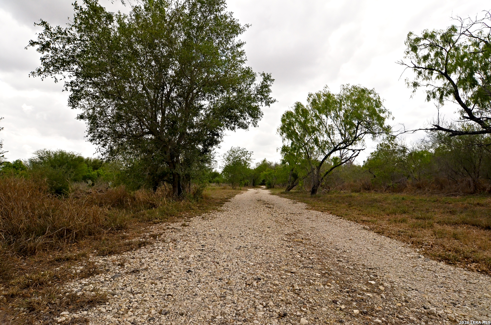 101 Alfredo Floresville TX 78114
