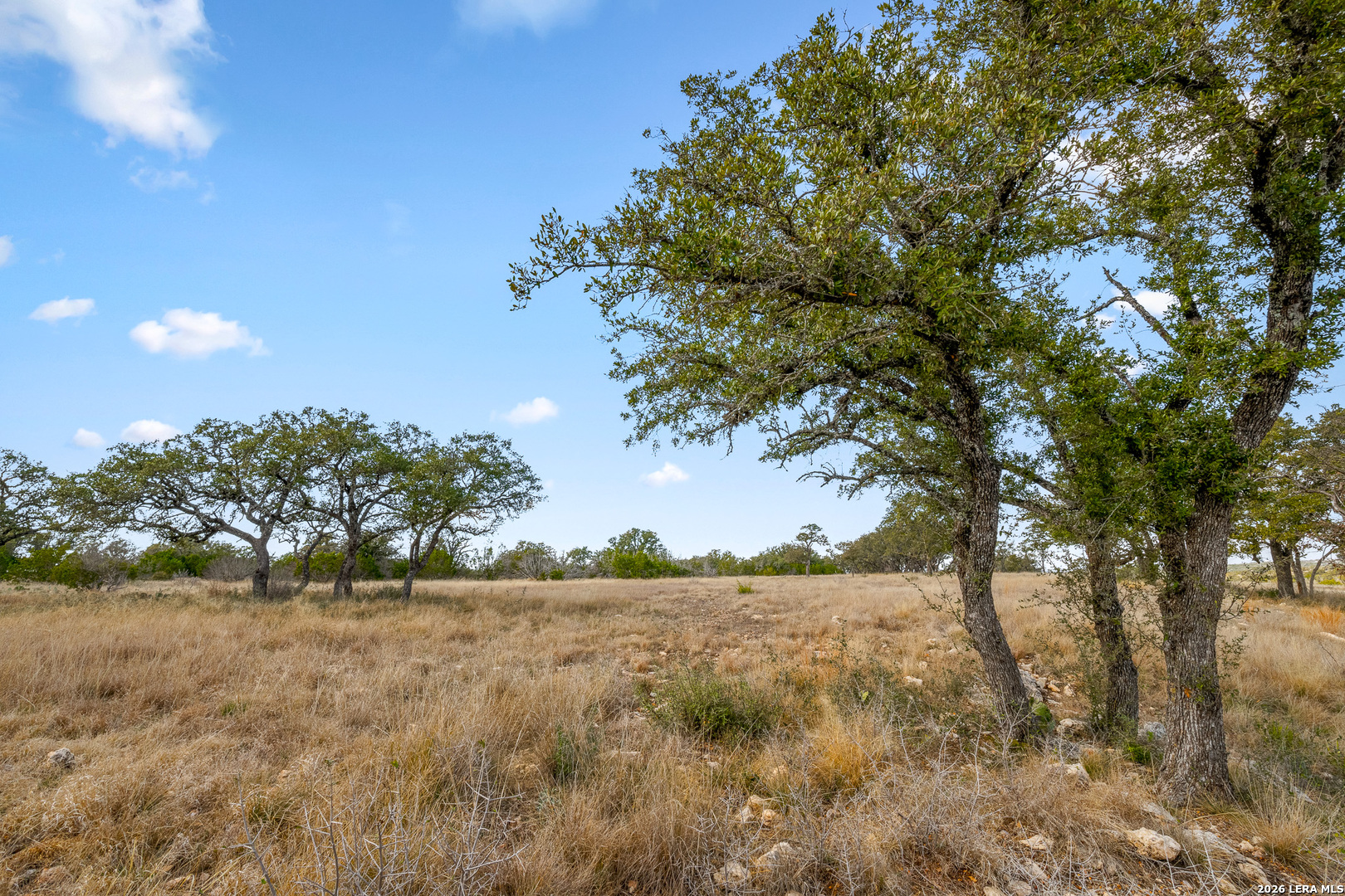 8 Seven Springs Drive Junction TX 76849
