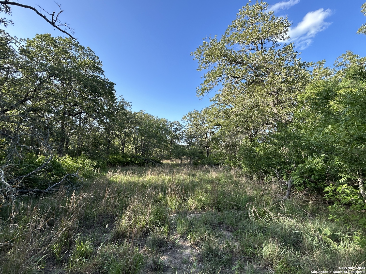 175 Smith La Vernia TX 78121