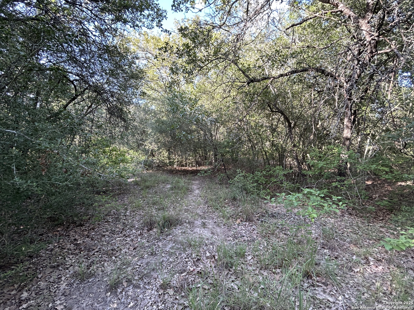 175 Smith La Vernia TX 78121