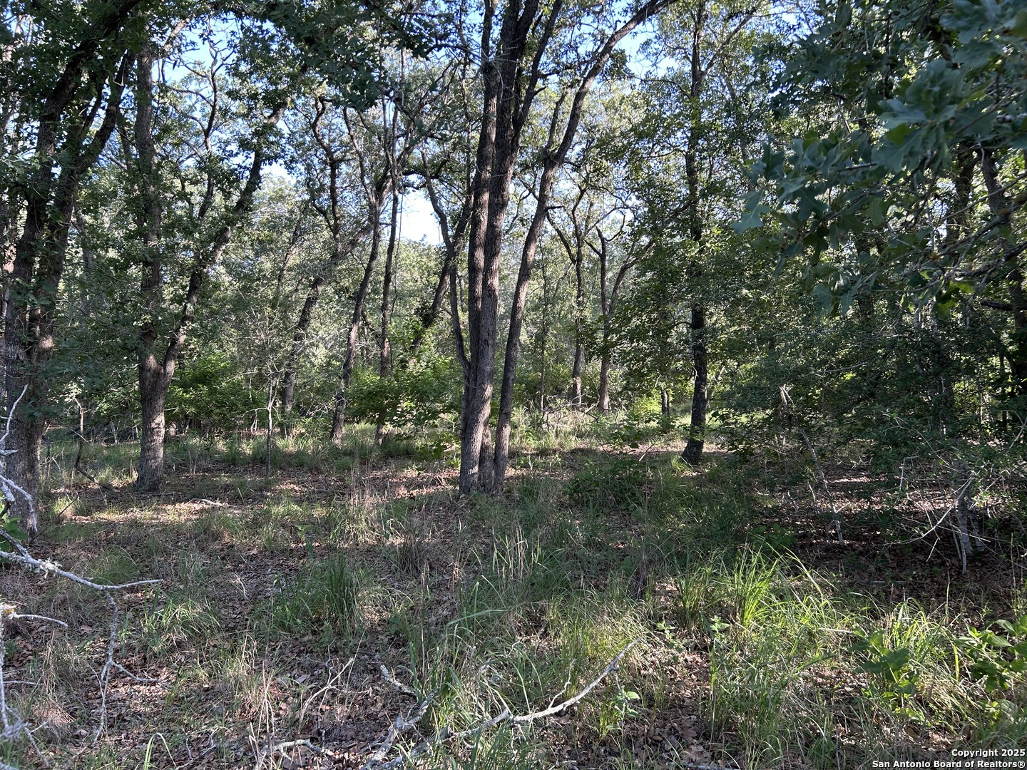 175 Smith La Vernia TX 78121