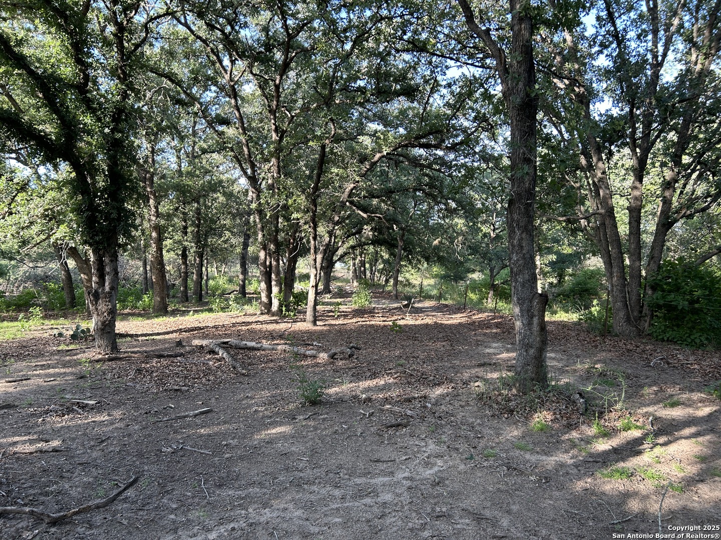 175 Smith La Vernia TX 78121