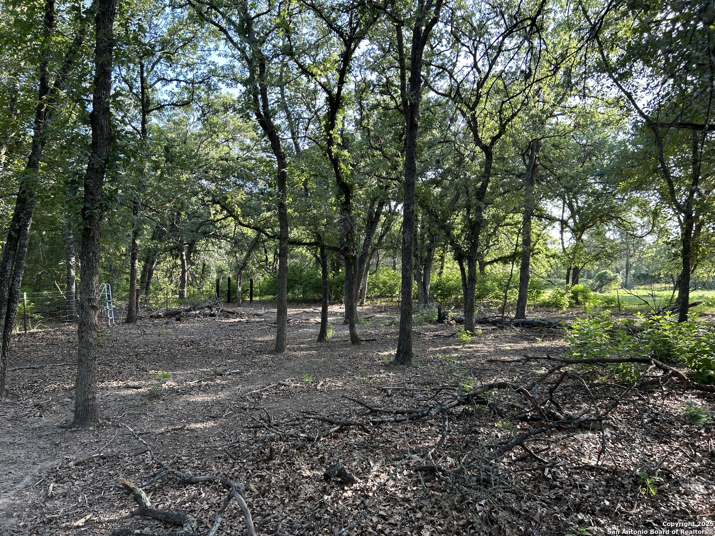 175 Smith La Vernia TX 78121