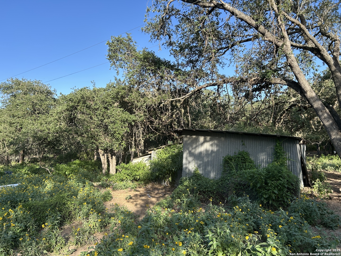 175 Smith La Vernia TX 78121