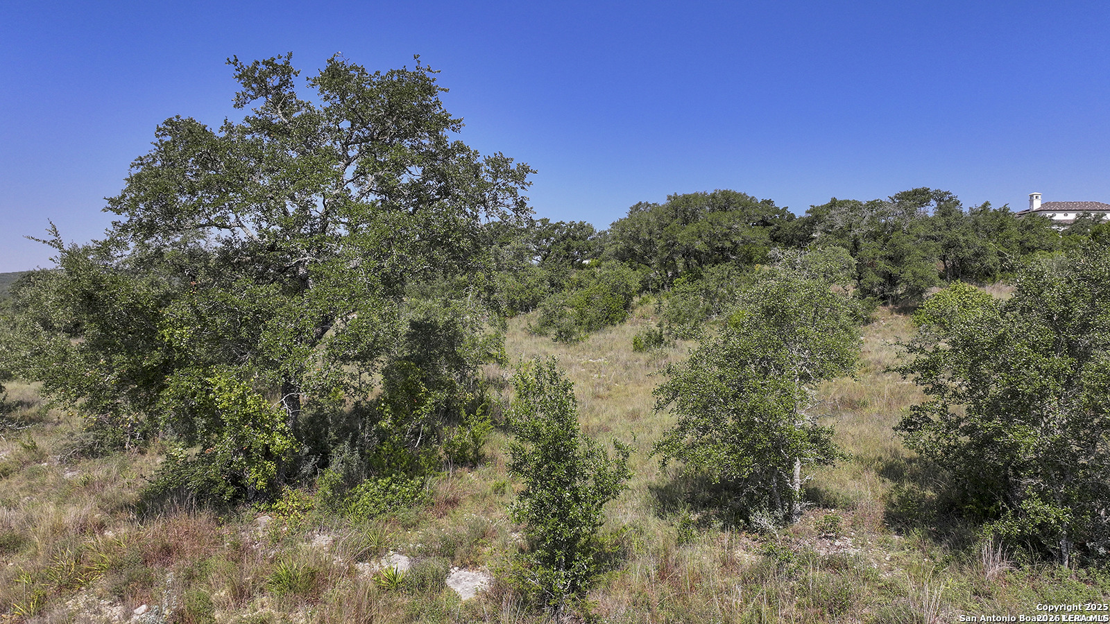 25811 Morhiss Point Boerne TX 78006