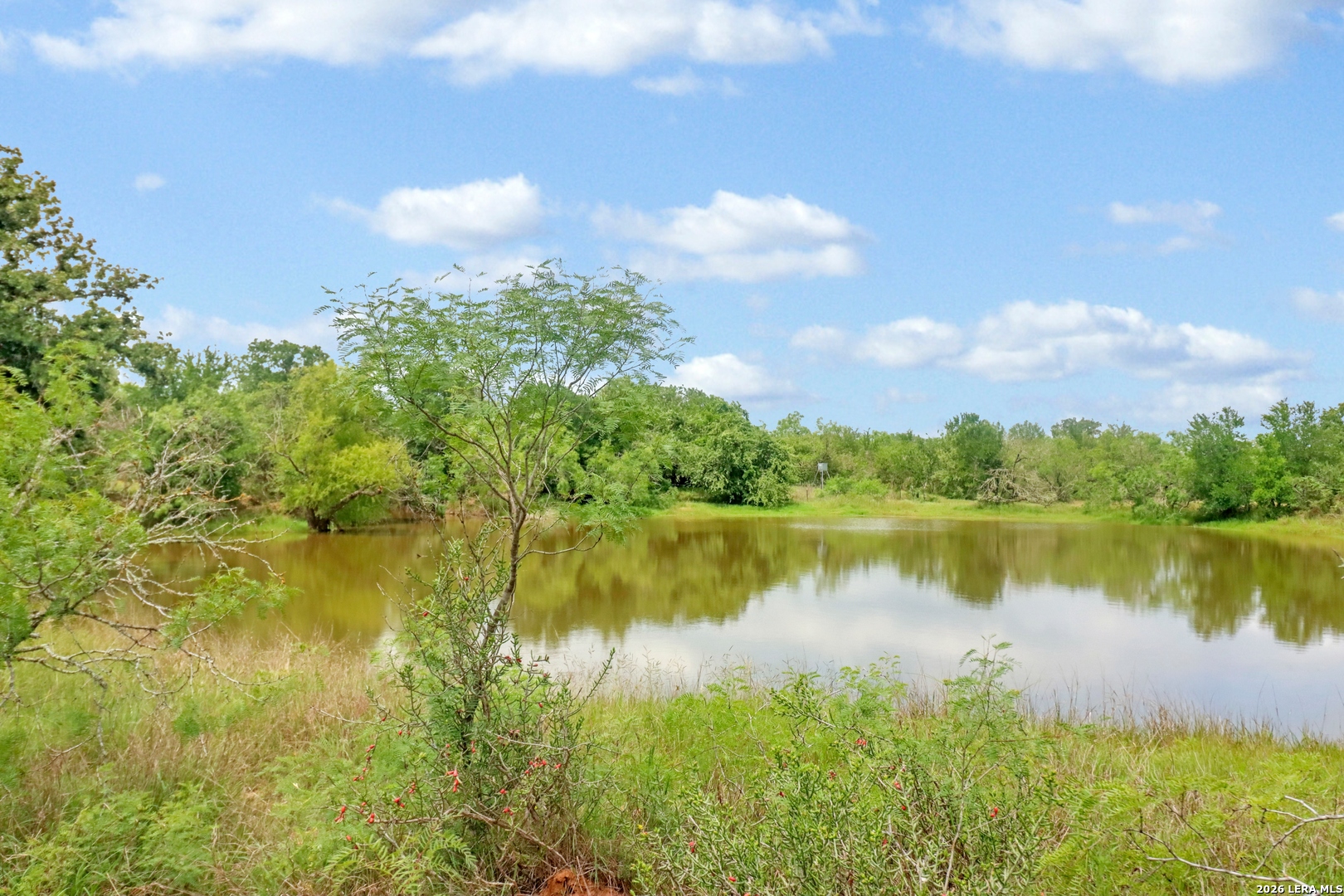 Tbd Cross Road Seguin TX 78155