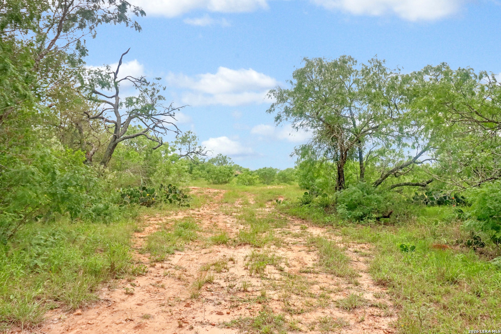 Tbd Cross Road Seguin TX 78155