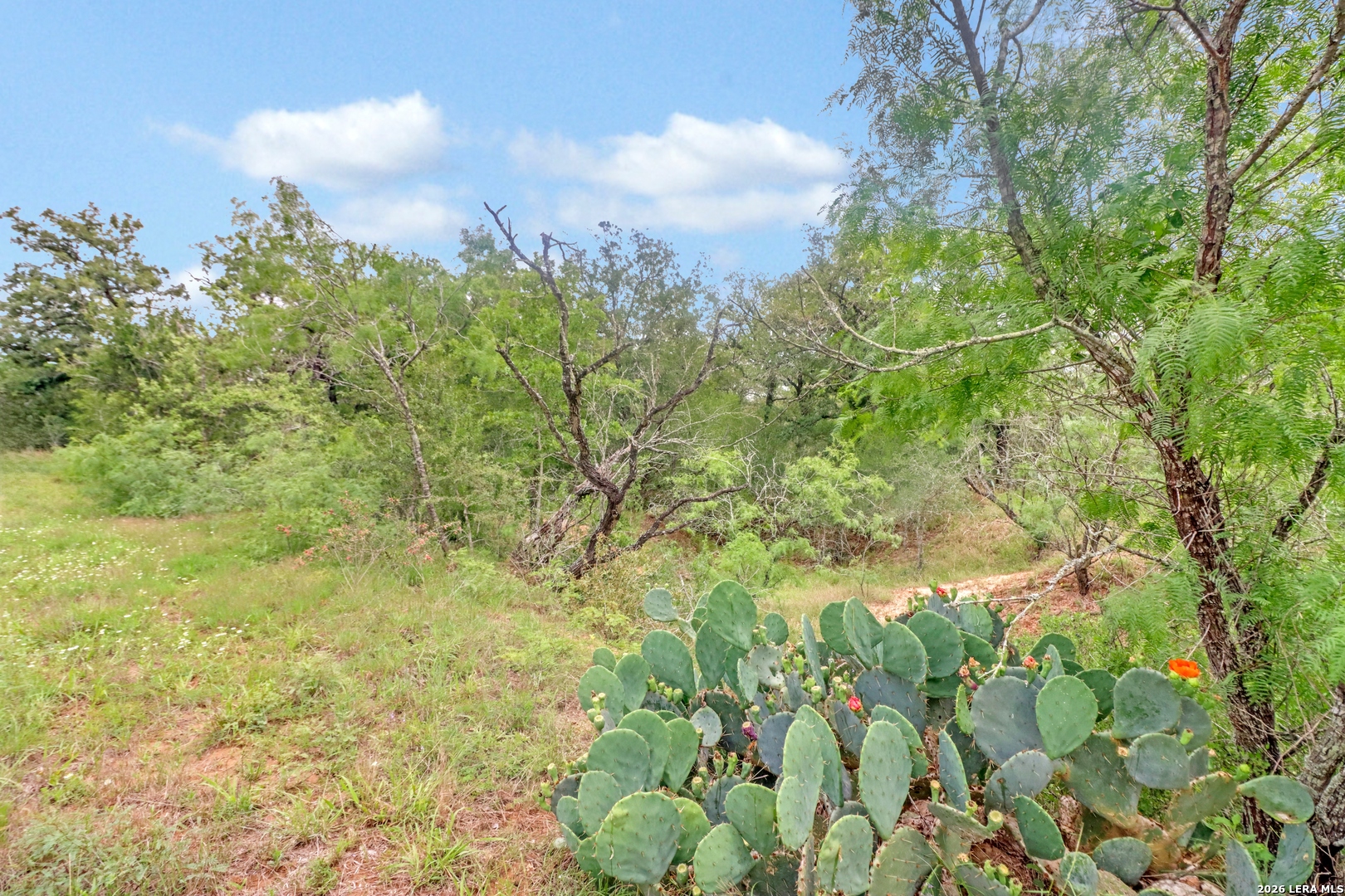 Tbd Cross Road Seguin TX 78155