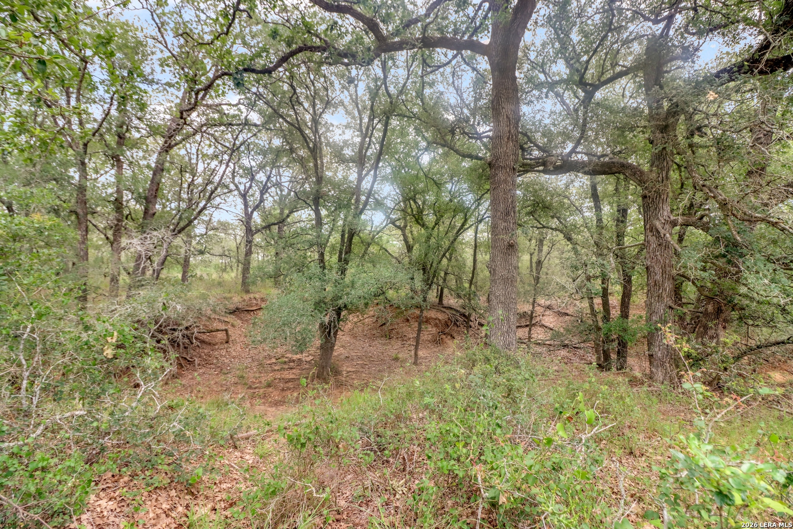 Tbd Cross Road Seguin TX 78155