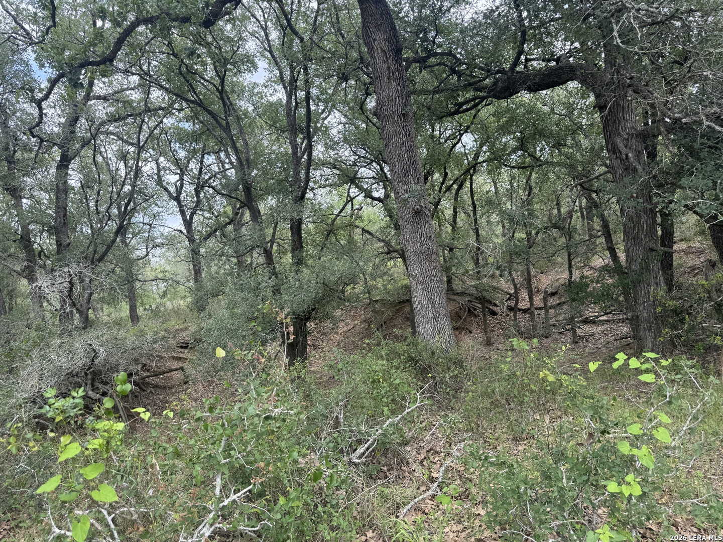 Tbd Cross Road Seguin TX 78155