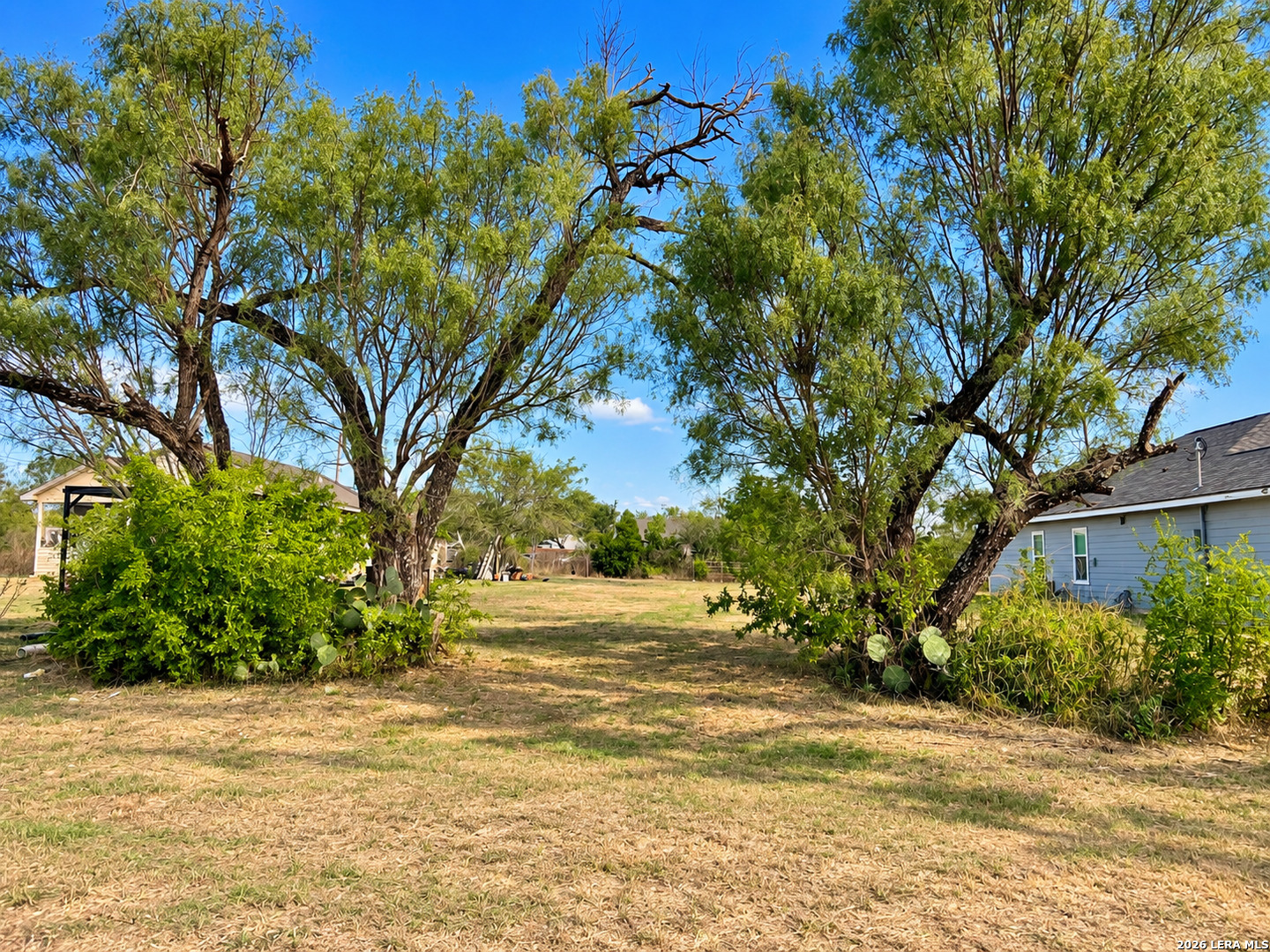 Tbd Willow Jourdanton TX 78026