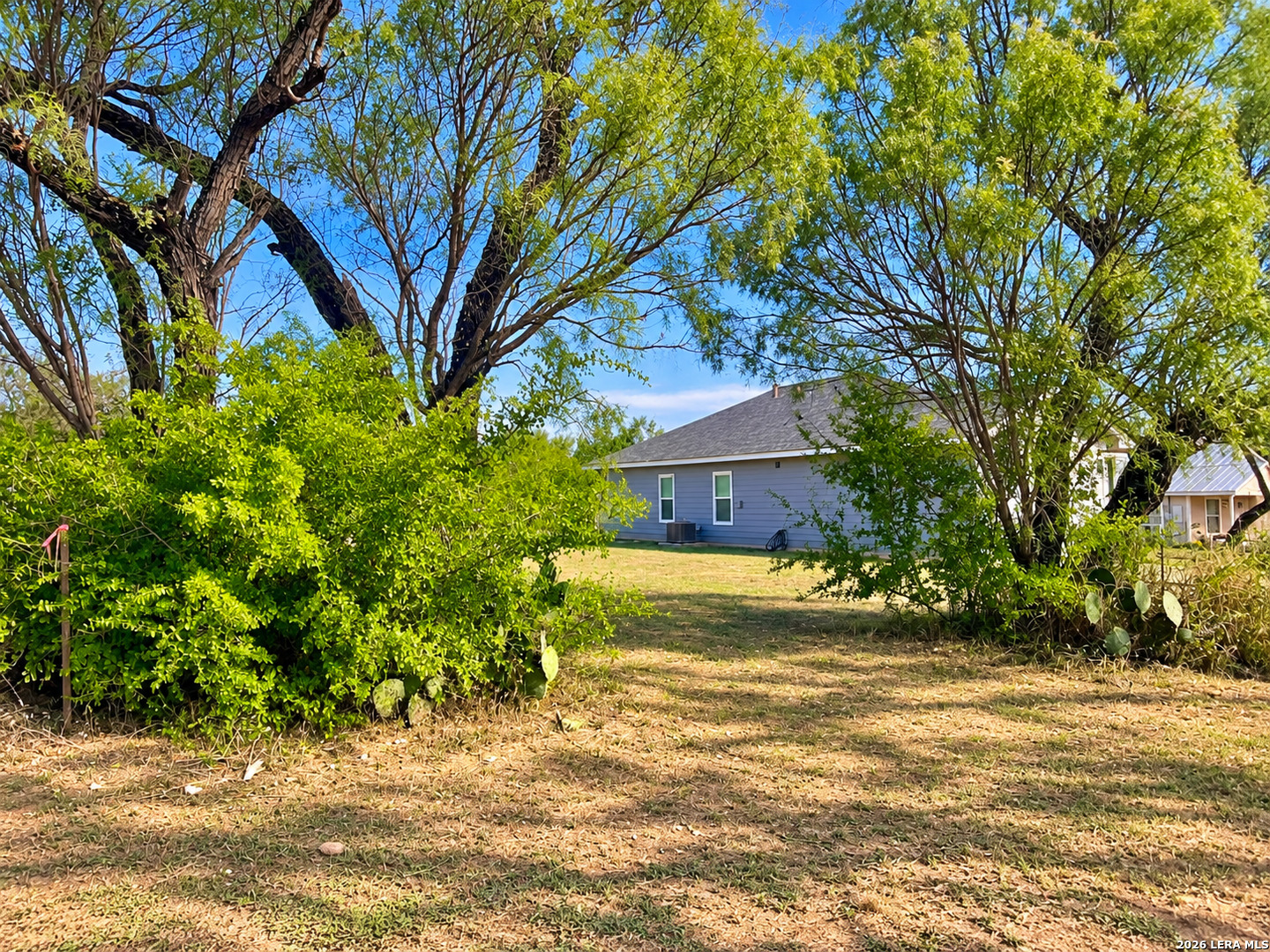 Tbd Willow Jourdanton TX 78026