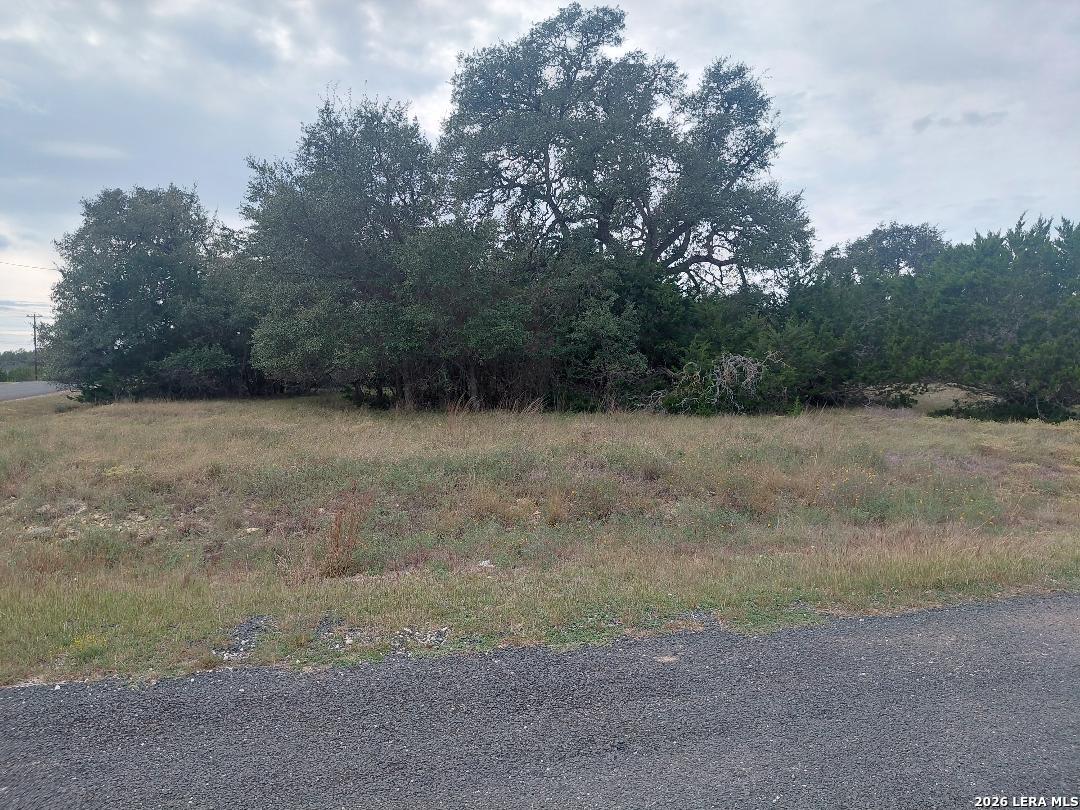 Lot 448 William Wood Blanco TX 78606
