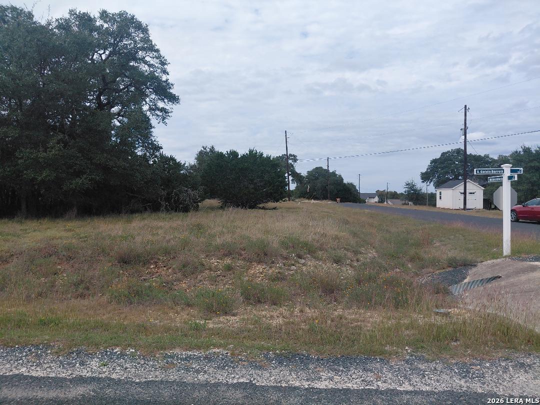 Lot 448 William Wood Blanco TX 78606