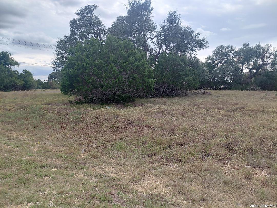Lot 448 William Wood Blanco TX 78606