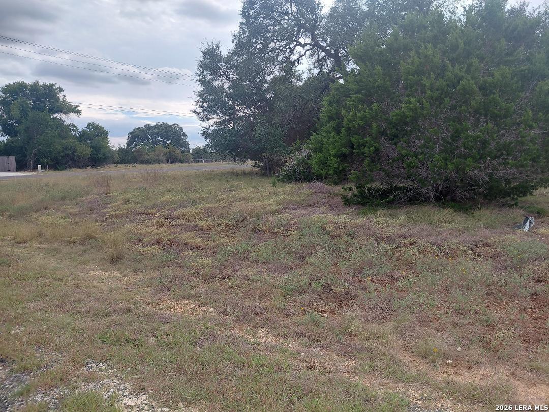 Lot 448 William Wood Blanco TX 78606