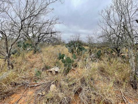 7.55 Acres Cr 2701 Bigfoot TX 78005