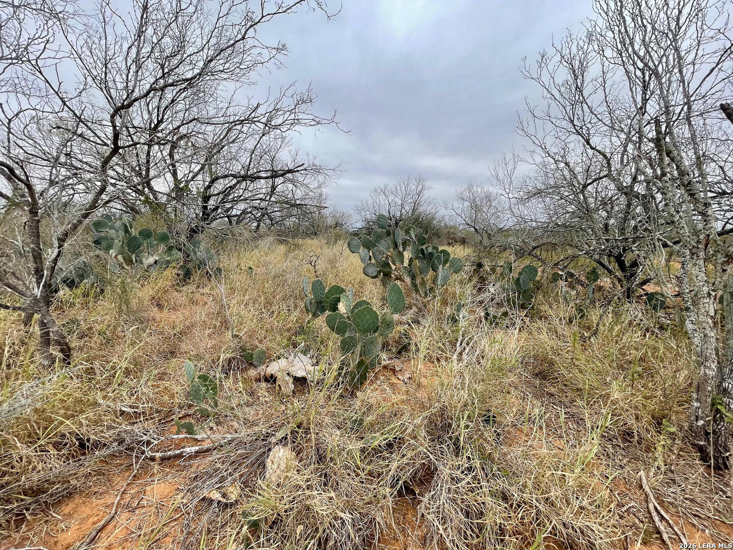 7.55 Acres Cr 2701 Bigfoot TX 78005