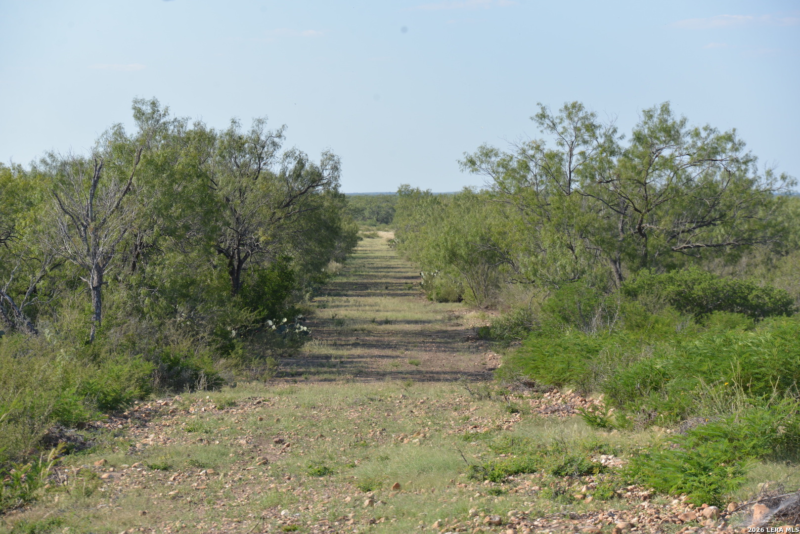 00 Fm 140 Pearsall TX 78061