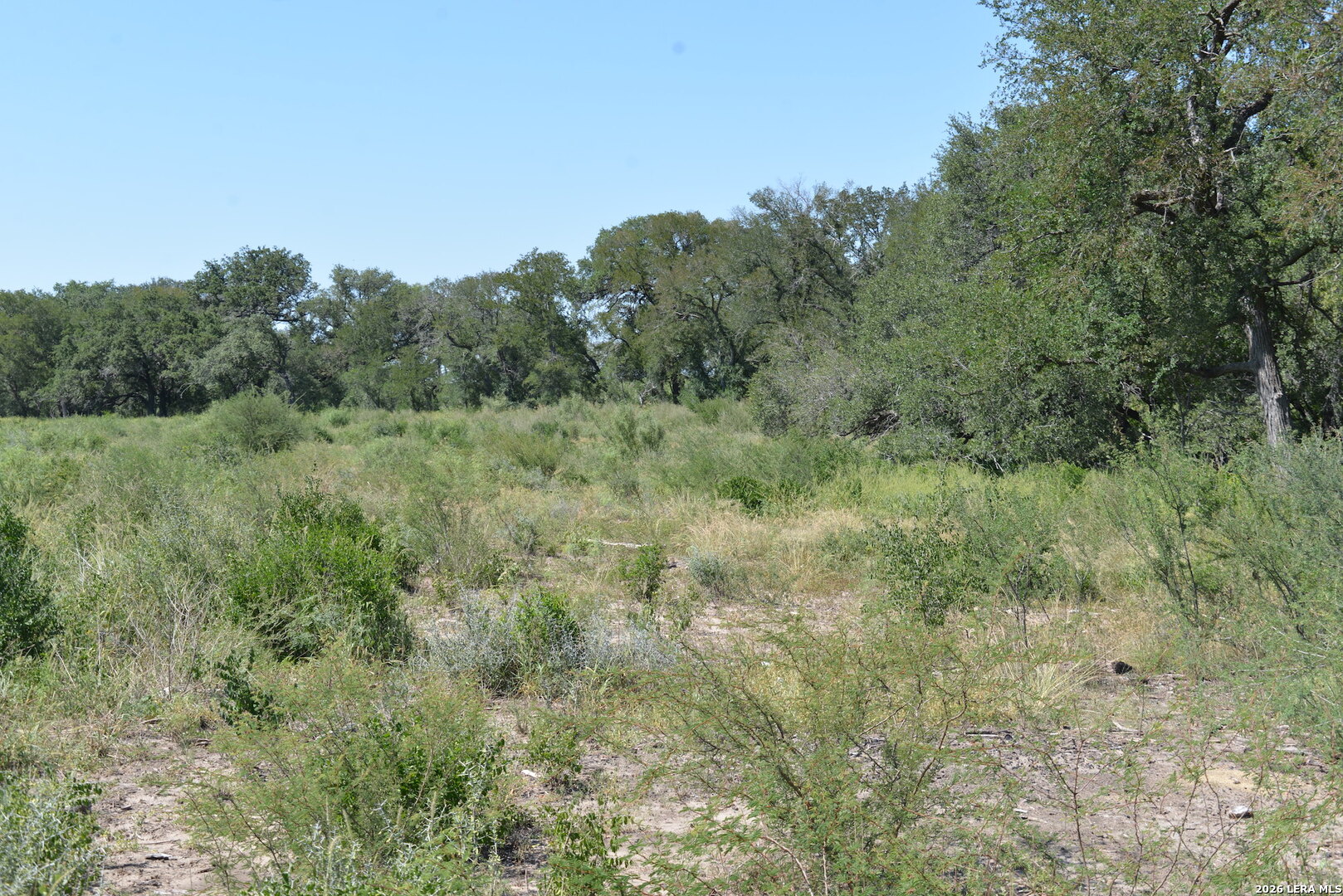 00 Fm 140 Pearsall TX 78061