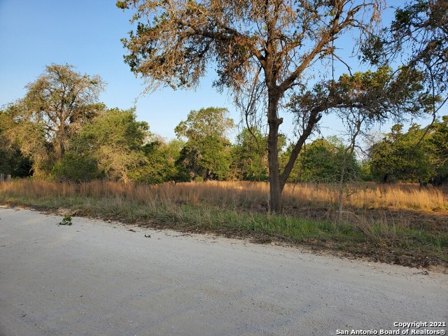 248 Lost Springs Drive Floresville TX 78114