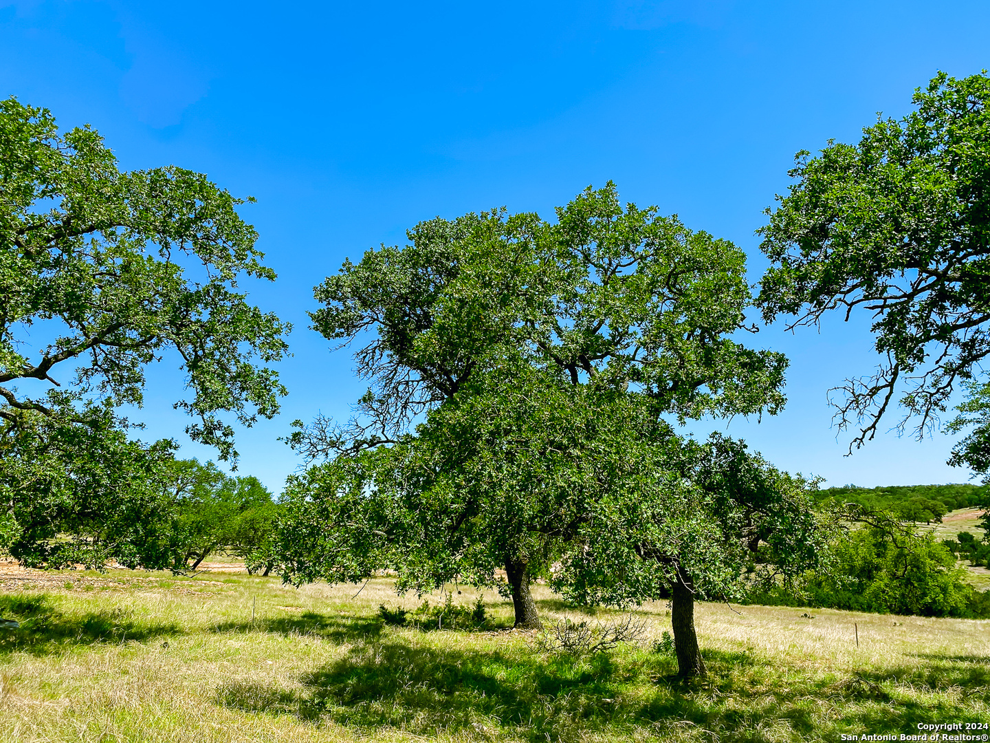 Lot 123 Loma Vista Ranch Kerrville TX 78028