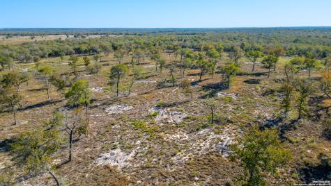 Tbd Turkey Tree Trail Seguin TX 78155