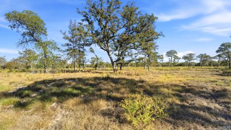 Tbd Turkey Tree Trail Seguin TX 78155